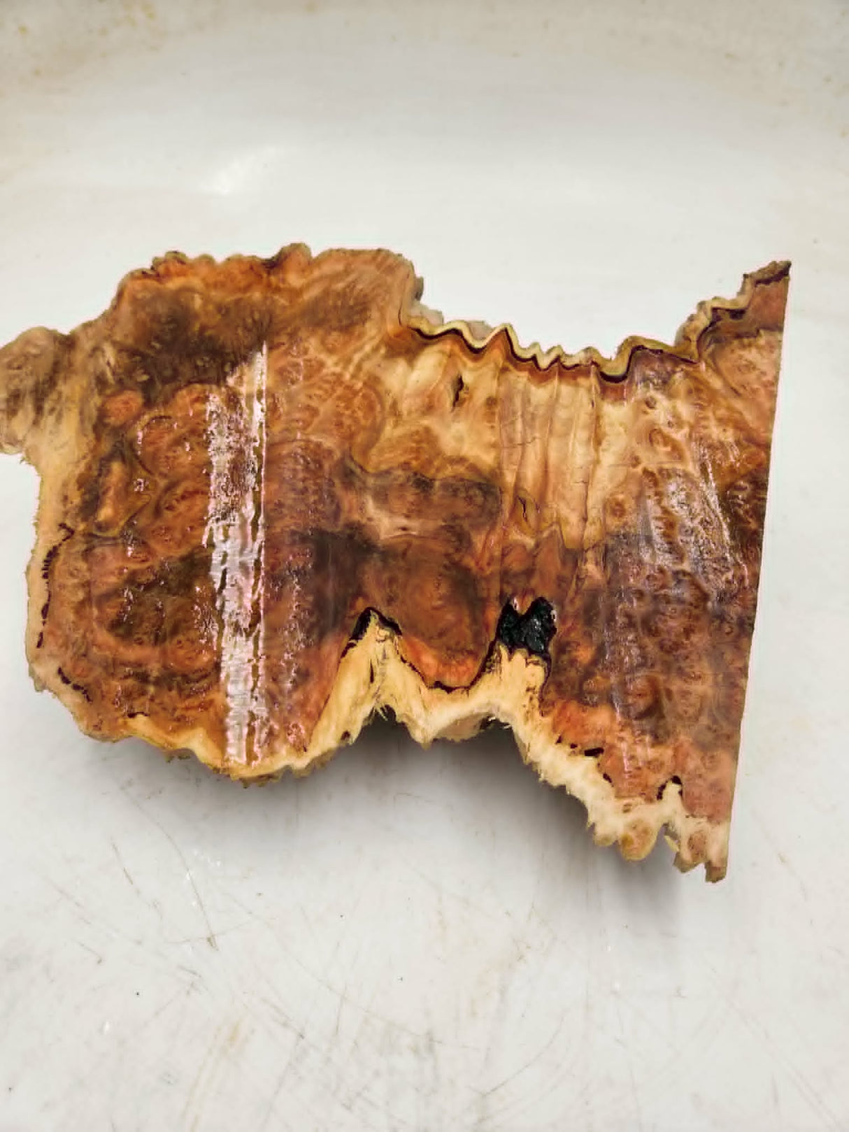 Red Mallee Burl 270x160x55mm