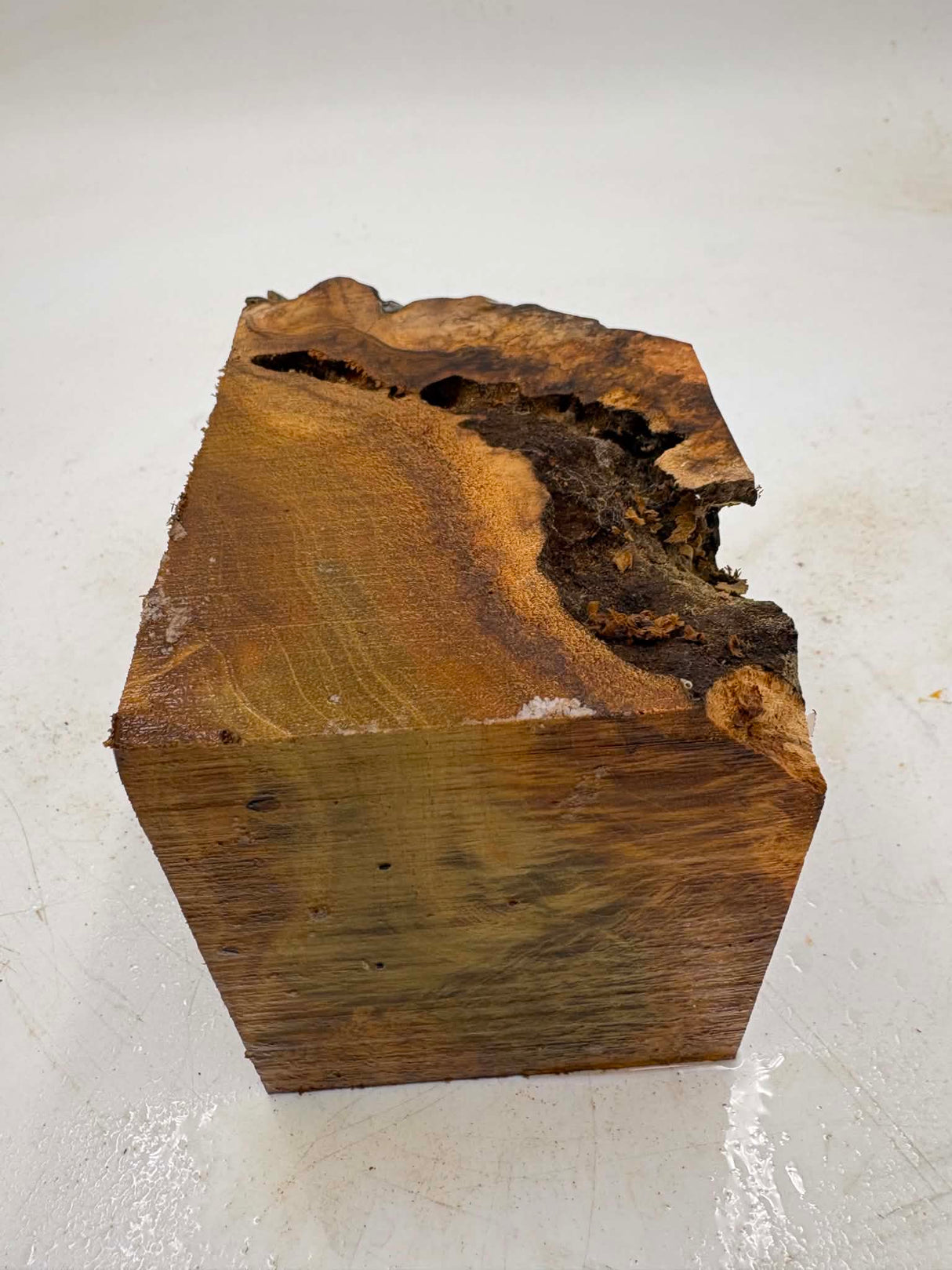 Musk Burl 170 x 90 x 100mm