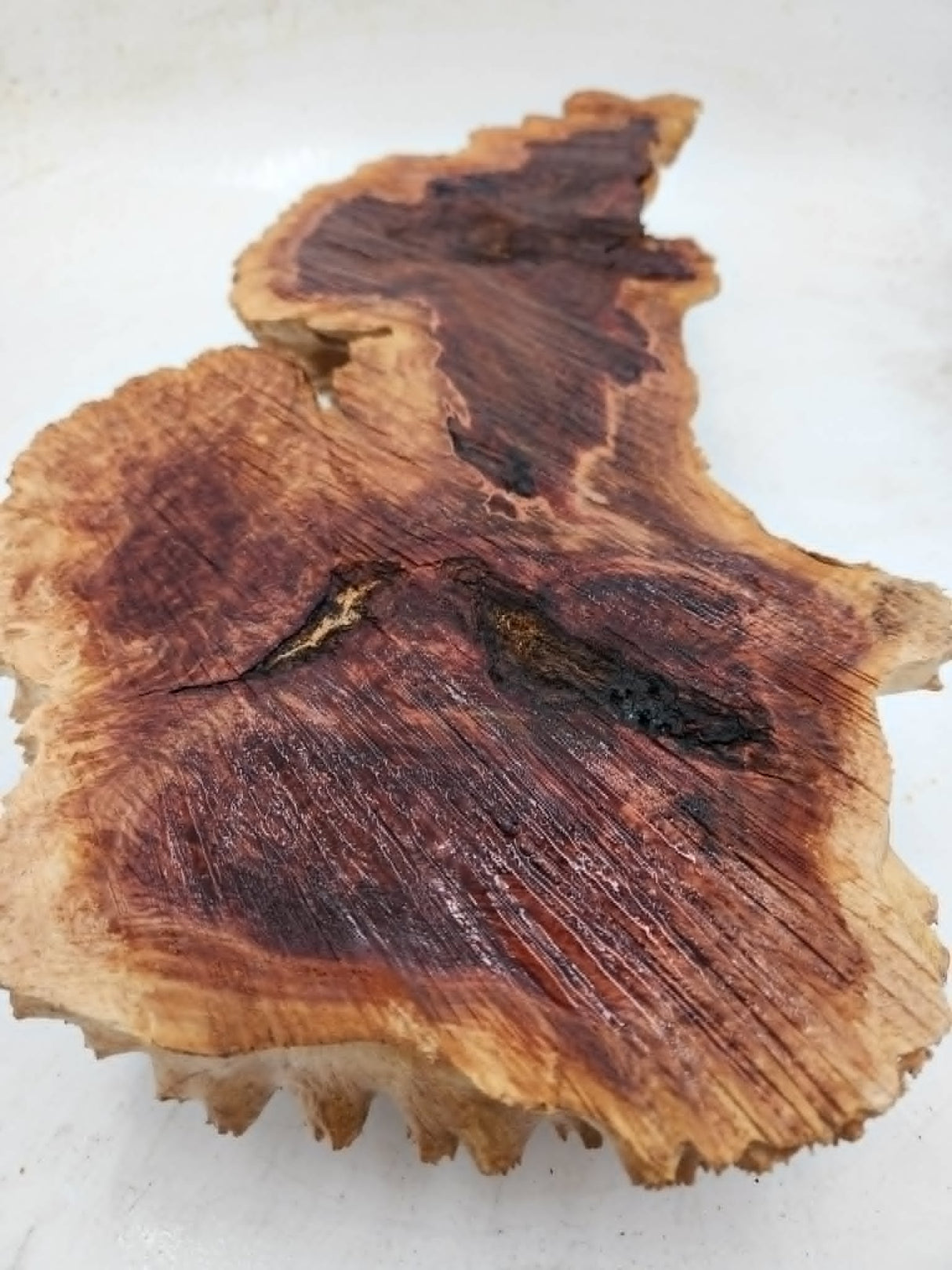 Red Mallee Burl 500x150x80mm