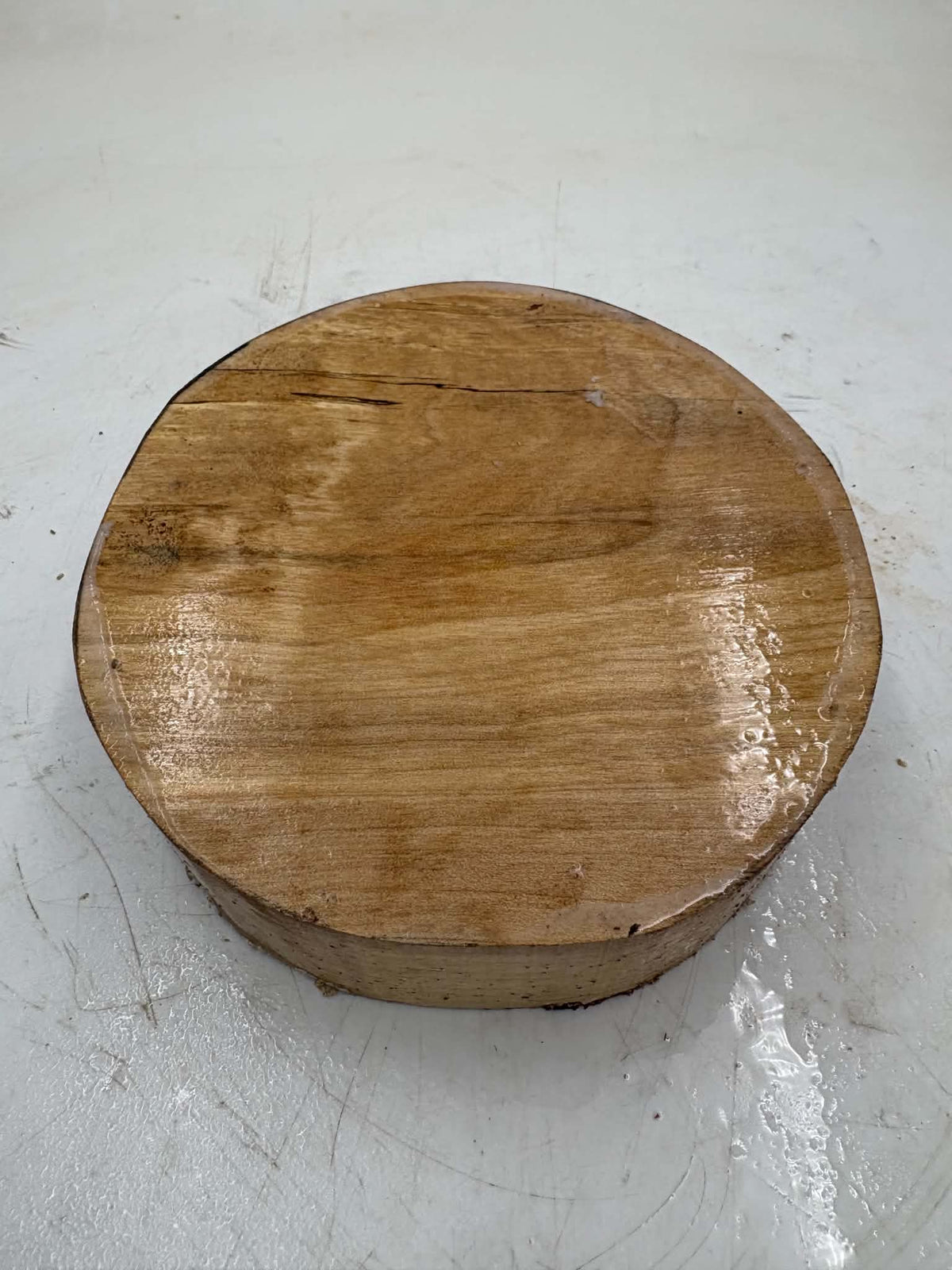 Silver Birch Bowl Blank 150 x 50mm