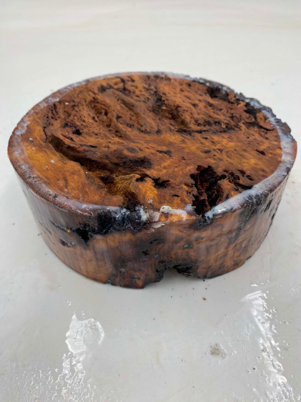River Red Gum Burl Bowl Blank 180 x 60mm