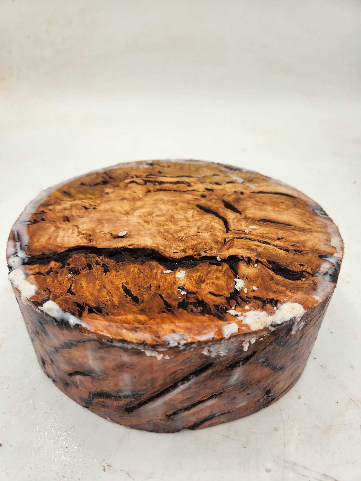 Red Gum Burl Bowl Blank 200mmx70mm