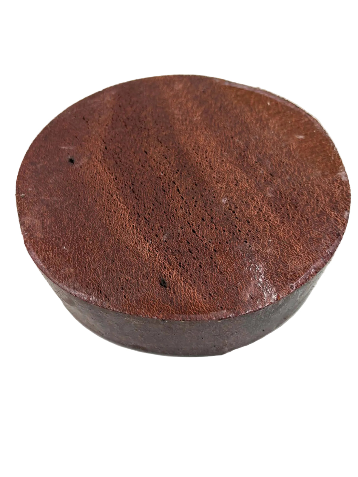 Banksia Bowl Blank 190 x 30mm