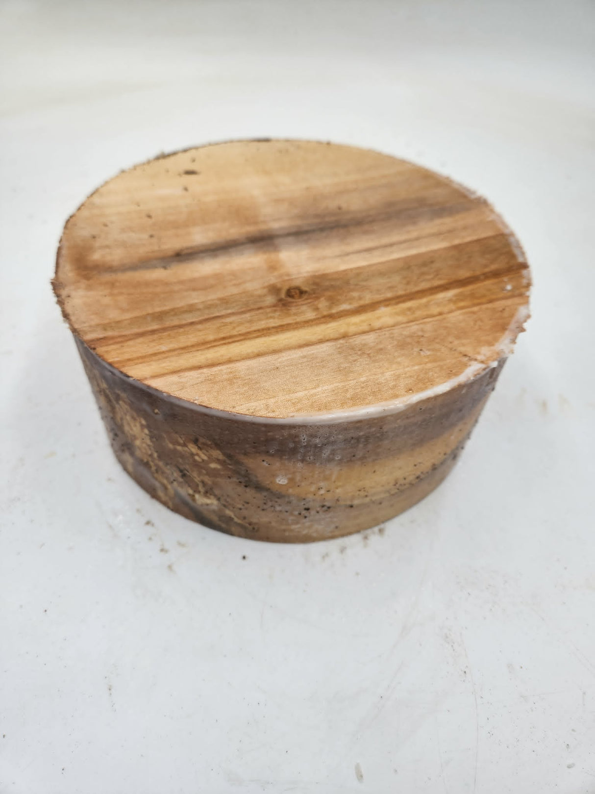 Silver Birch Bowl Blank 200mmx85mm