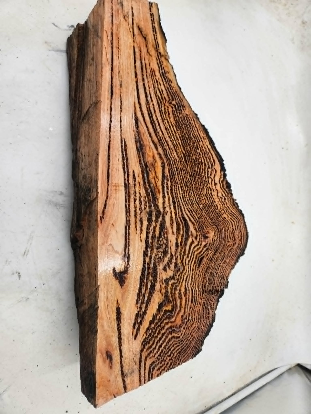Forest Red Gum Burl 450x200x80mm