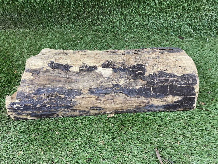 English Elm Spindle 330 x 170 x 70mm