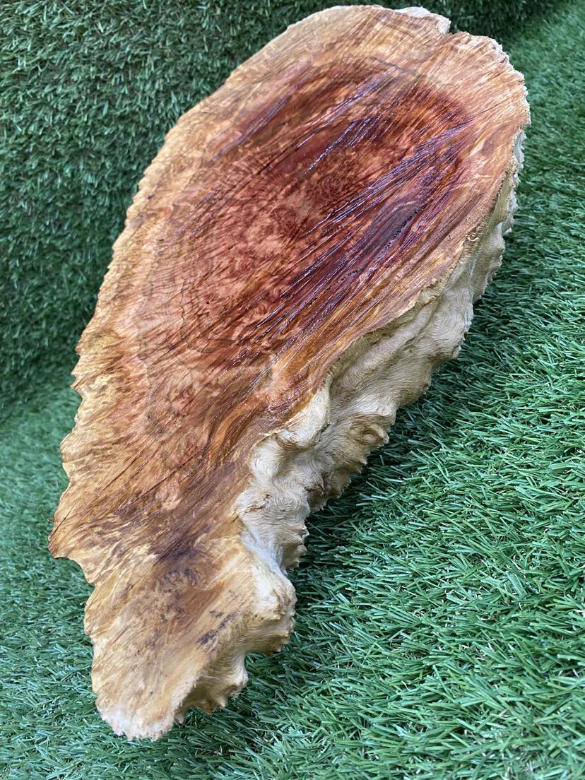 Red Mallee Burl 400 x 230 x 130mm