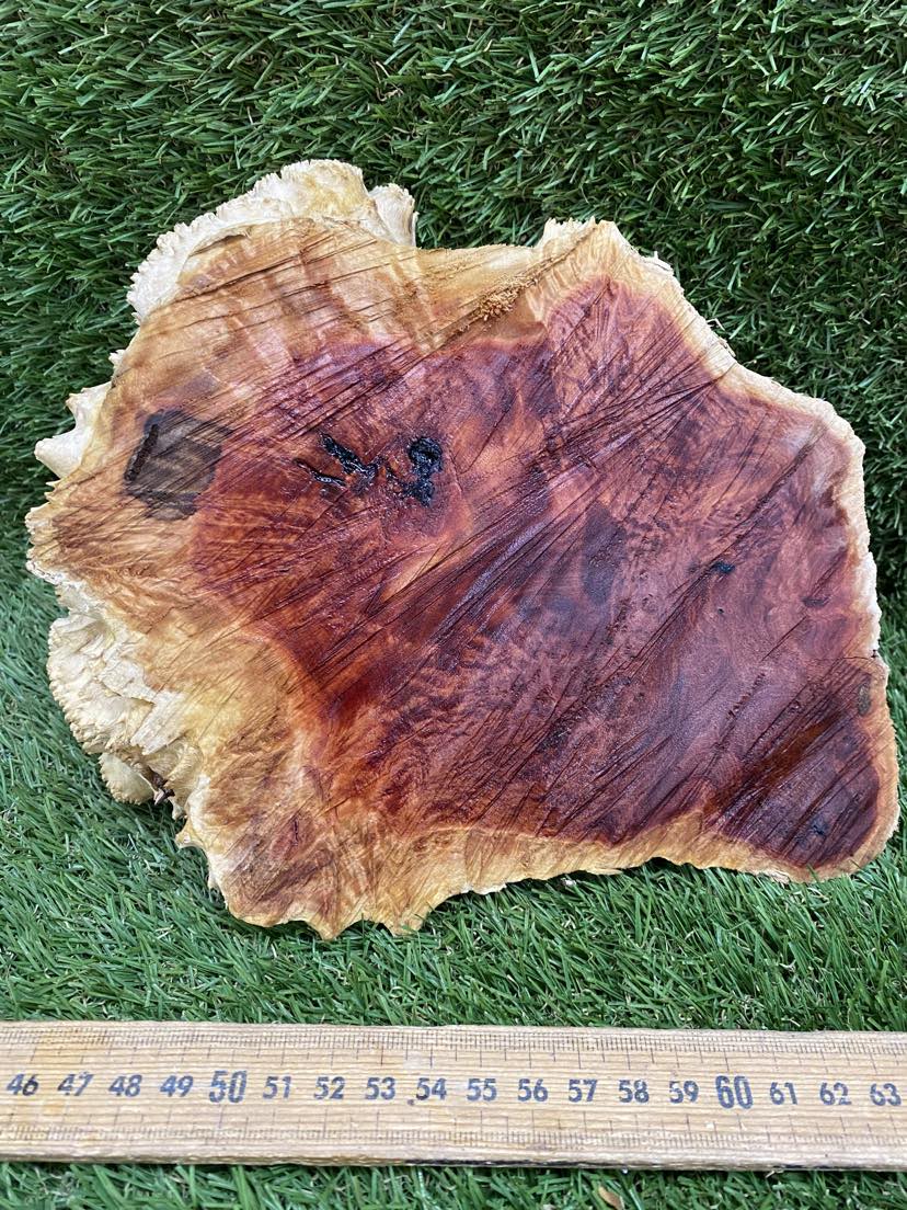 Red Mallee Burl 230 x 190 x 70mm