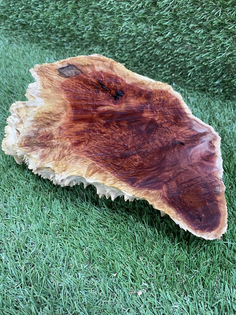 Red Mallee Burl 230 x 190 x 70mm