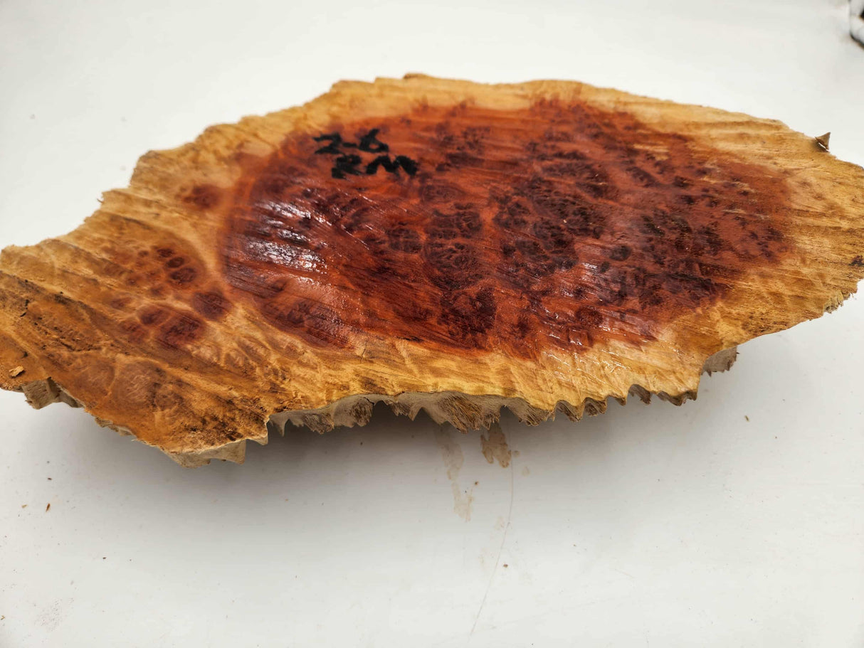 Red Mallee Burl 300mmx180mmx55mm