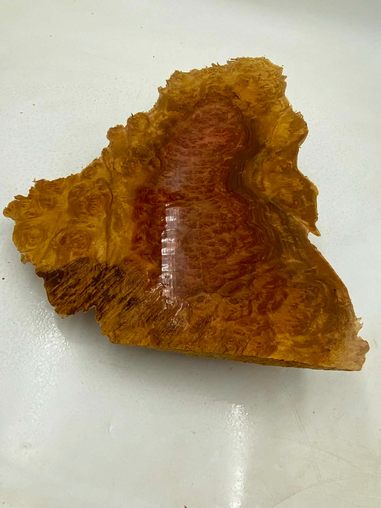Red Mallee Burl 300 x 280 x 70mm