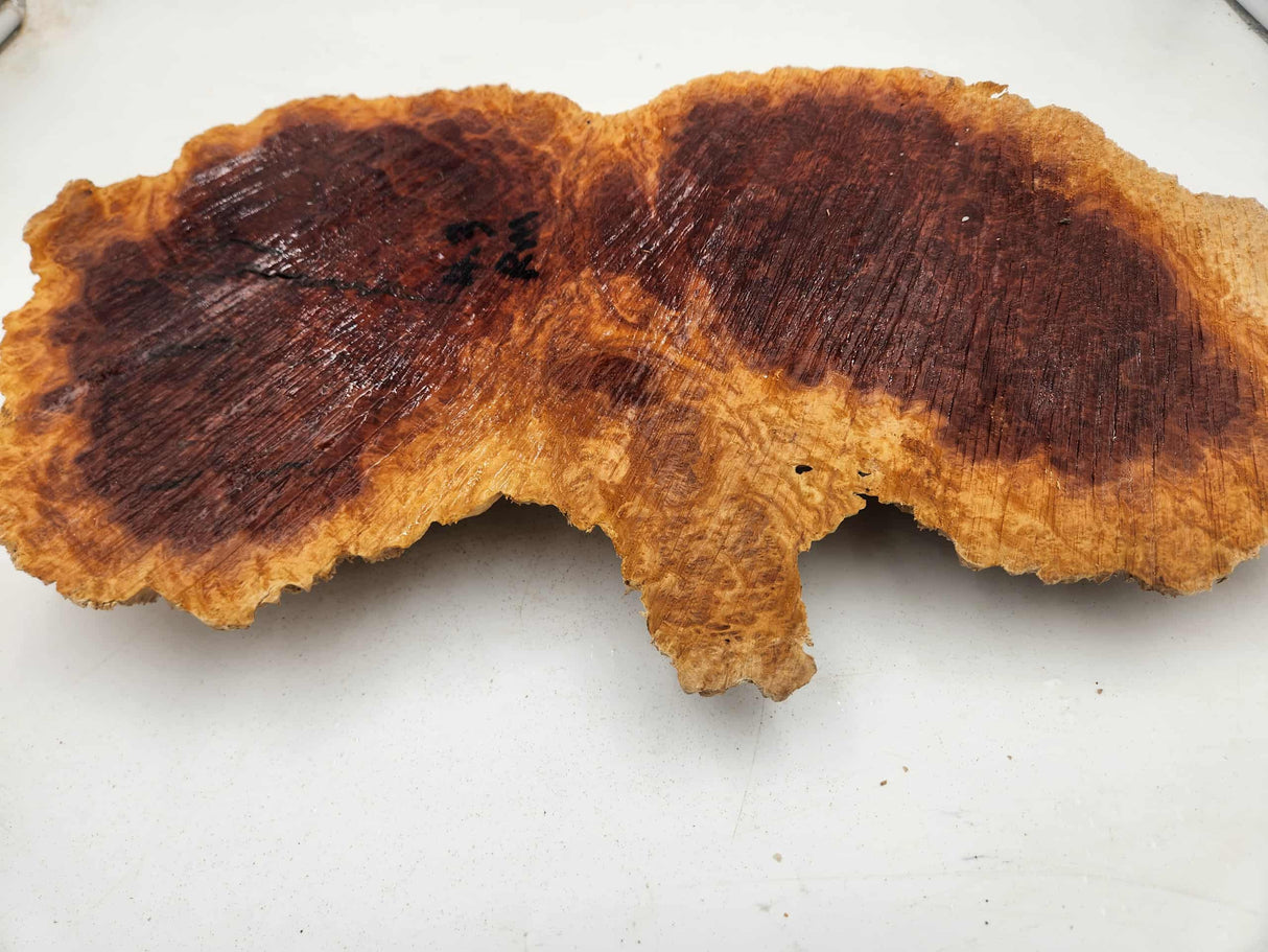Red Mallee Burl 440mmx200mmx50mm