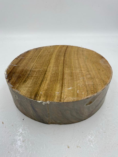 Camphor Laurel Bowl Blank 220 x 90mm (wet)