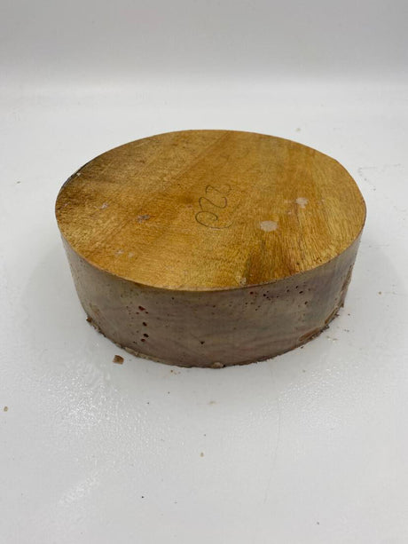 Camphor Laurel Bowl Blank 220 x 75mm (wet)