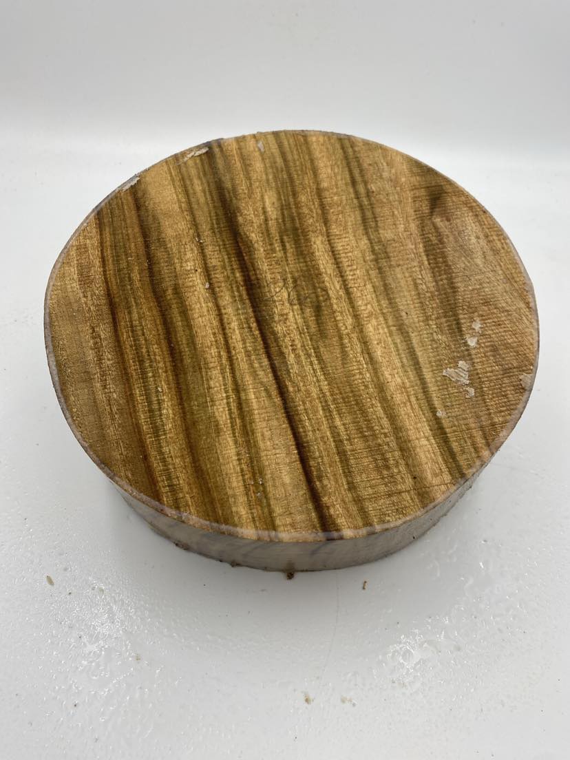 Camphor Laurel Bowl Blank 260 x 105mm (wet)