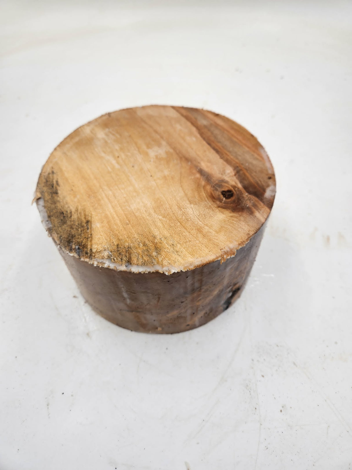 Silver Birch Bowl Blank 150mmx85mm