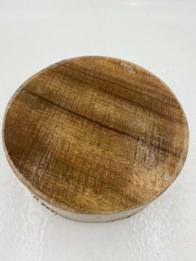 Camphor Laurel Bowl Blank (wet) 200 x 85mm
