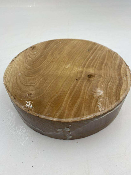 Desert Ash Bowl Blank 150 x 70mm