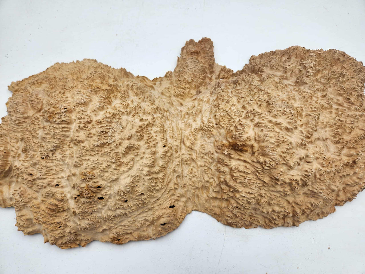 Red Mallee Burl 440mmx200mmx50mm
