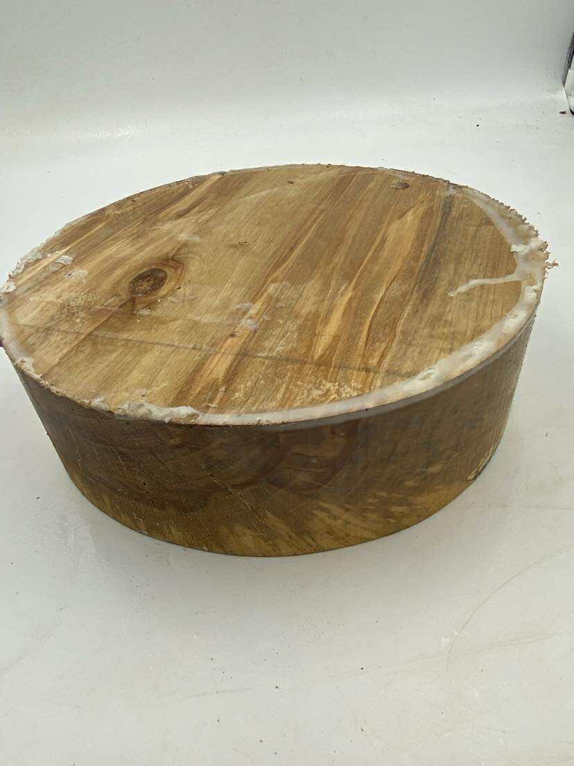 Sliver Birch with Spalting Bowl Blank 260 x 70mm