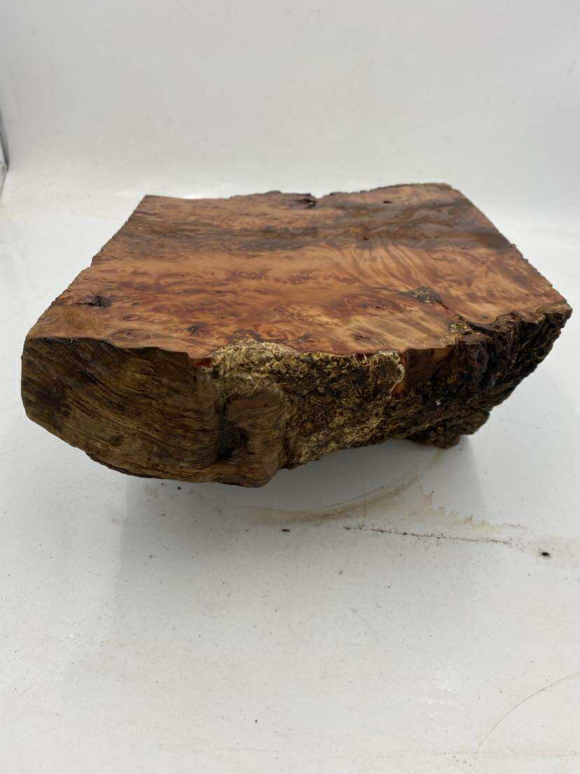 Tasmanian Myrtle Burl 250 x 240 x 110mm