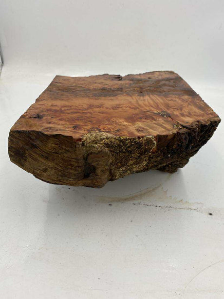 Tasmanian Myrtle Burl 250 x 240 x 110mm