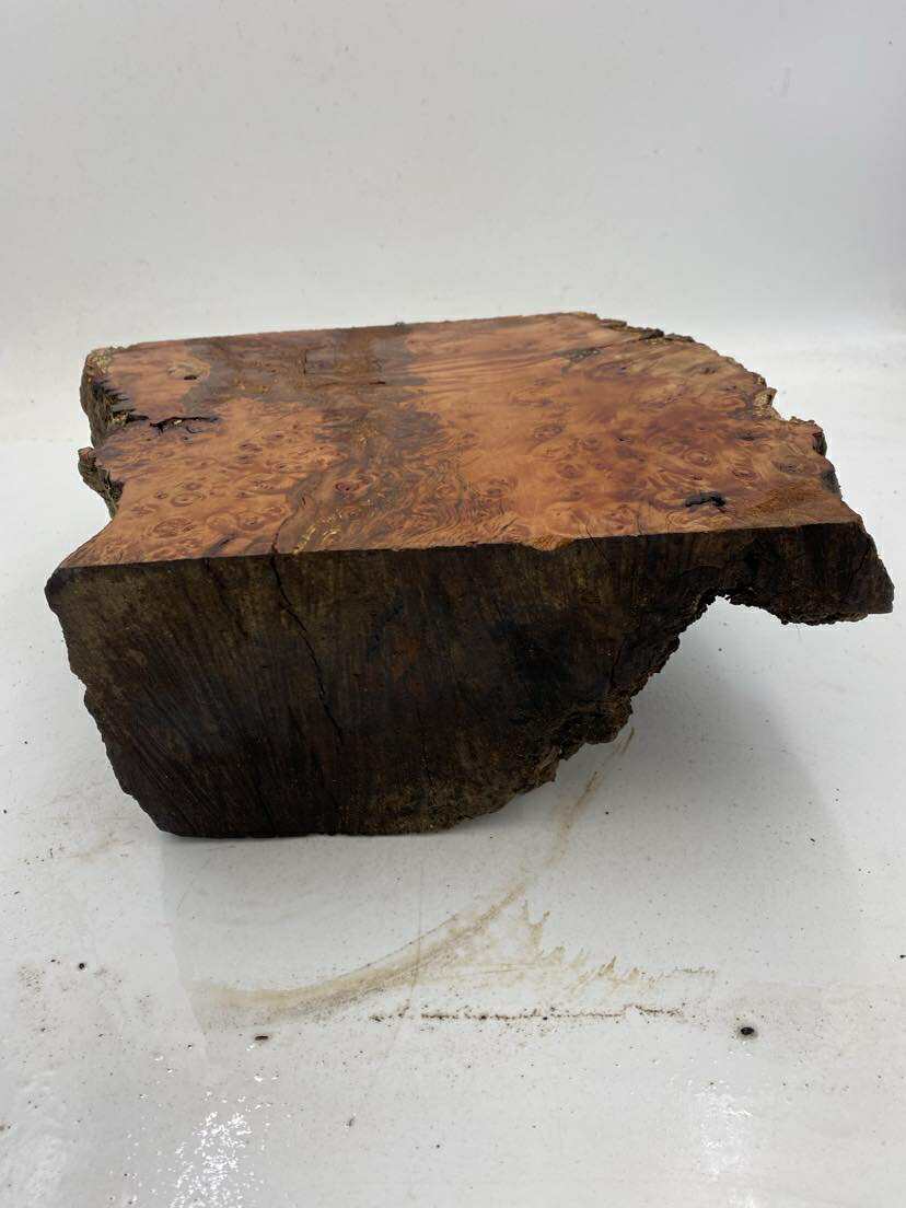 Tasmanian Myrtle Burl 250 x 240 x 110mm