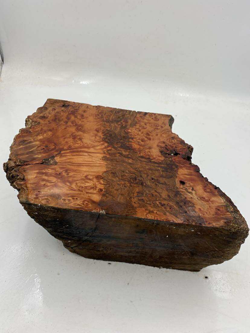 Tasmanian Myrtle Burl 250 x 240 x 110mm