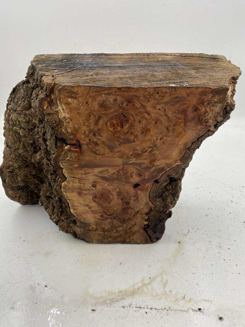 Tasmanian Myrtle Burl 250 x 240 x 110mm