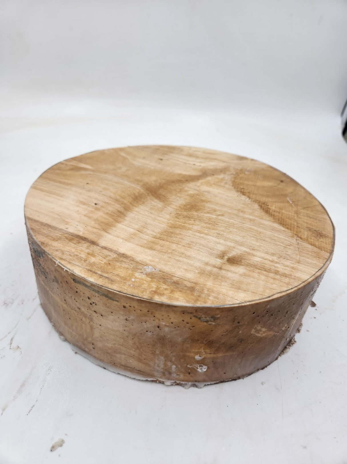 Silver Birch 260mmx260mmx80mm