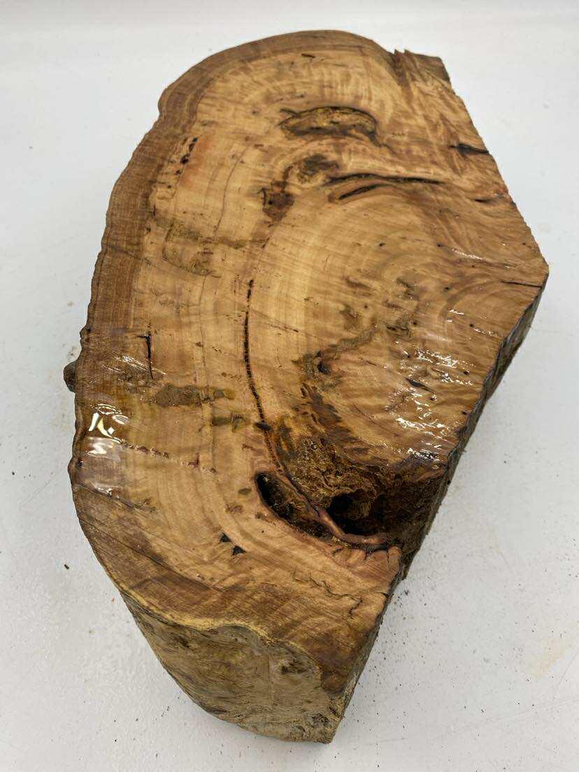 Spotted Gum Burl 430 x 220 x 100mm