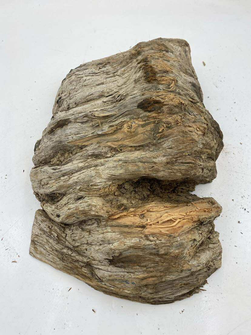 Huon Pine Burl with Birdseye 330 x 250 x 100mm