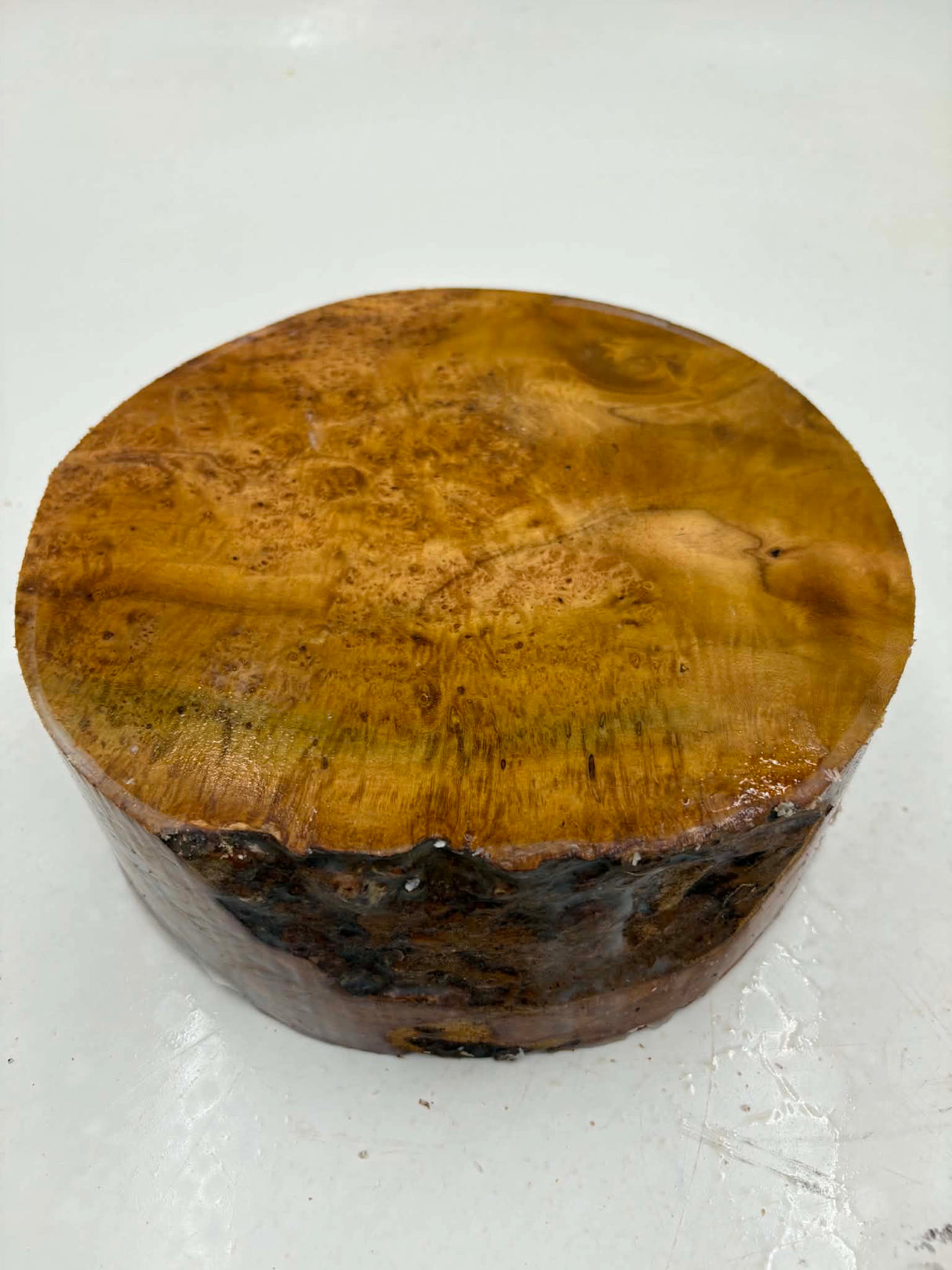 Musk Burl Bowl Blank 200 x 70mm