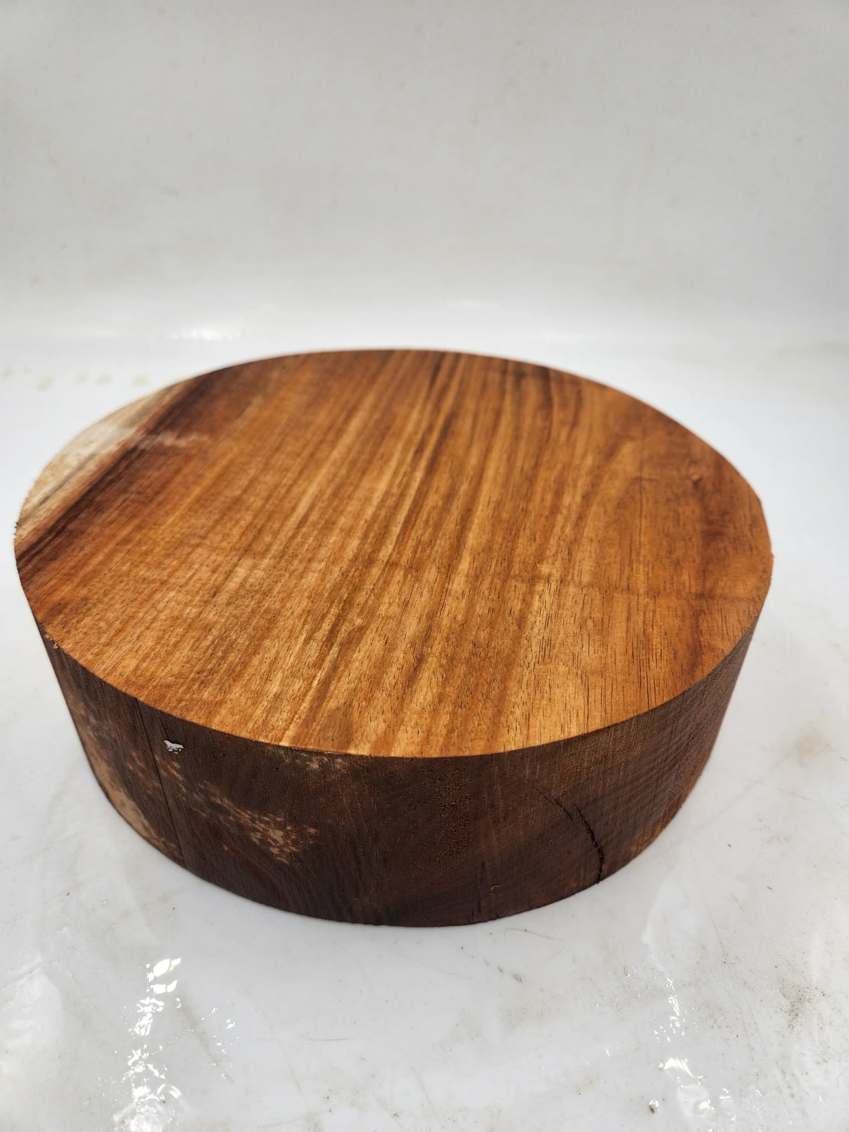 Victorian Blackwood Bowl Blank 210 x 60mm