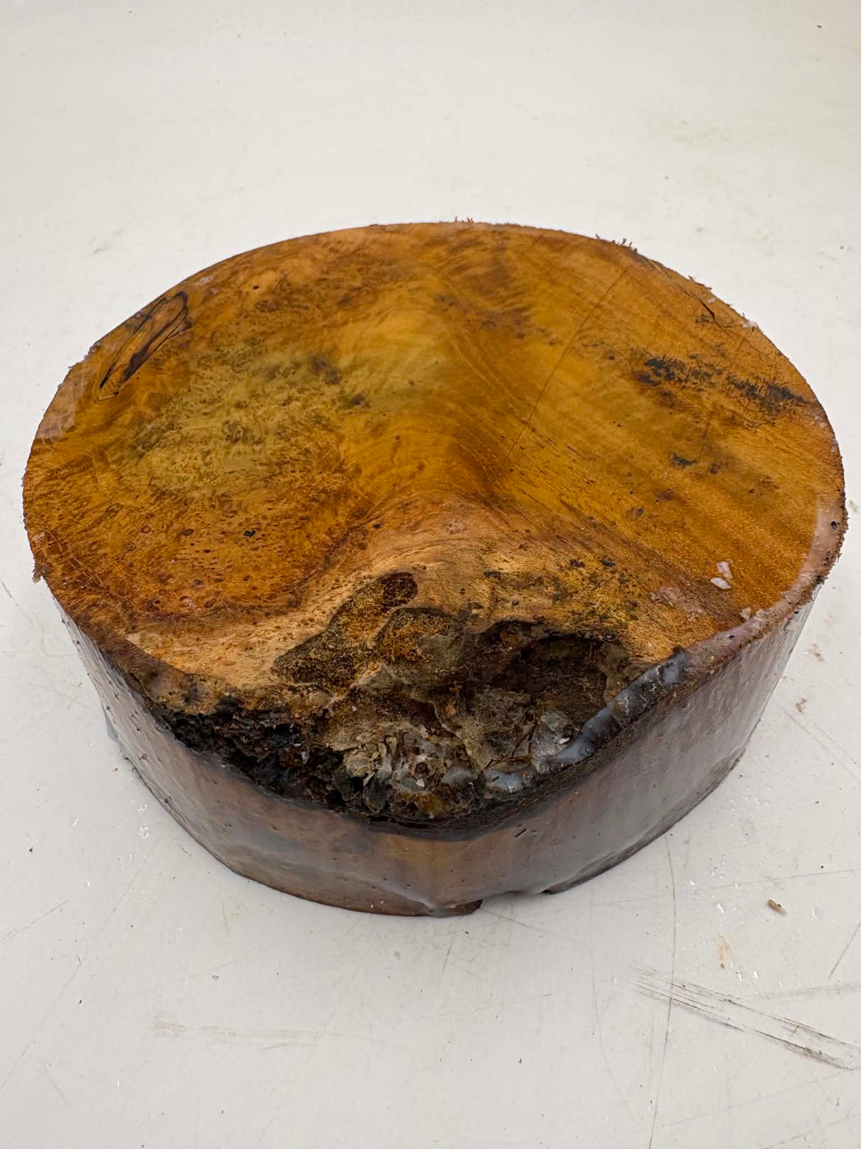 Musk Burl Bowl Blank 150 x 55mm
