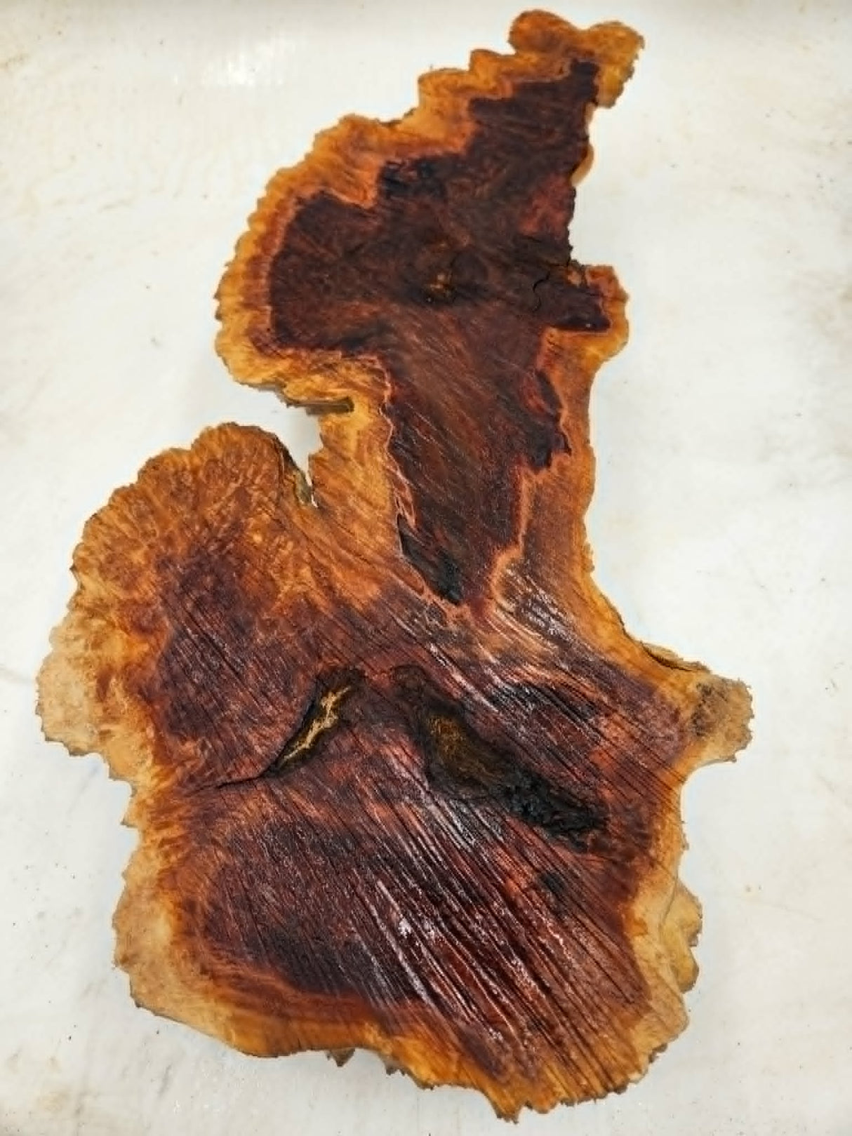 Red Mallee Burl 500x150x80mm