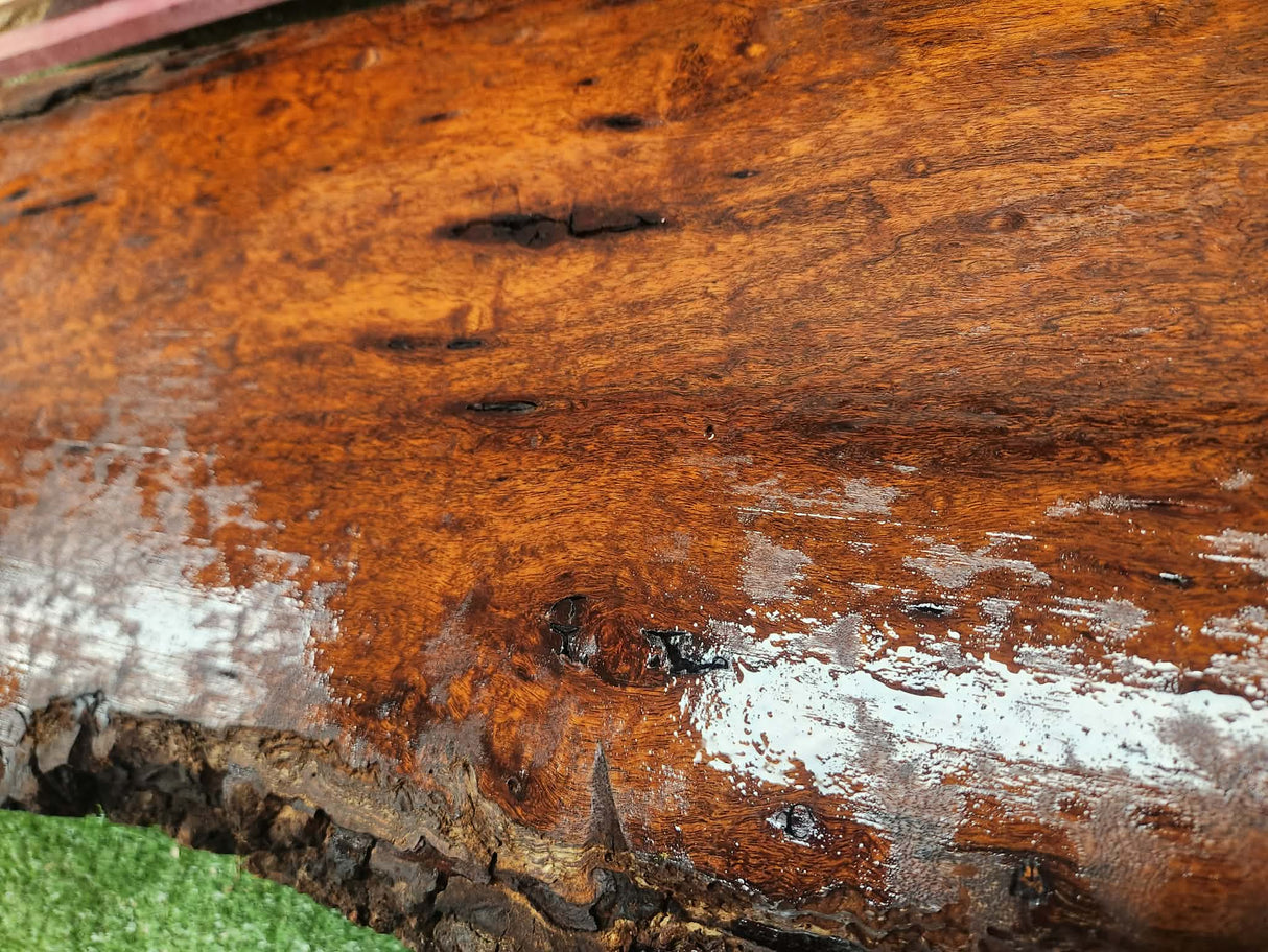 Tasmanian Blackwood Block 620mmx95mmx290mm