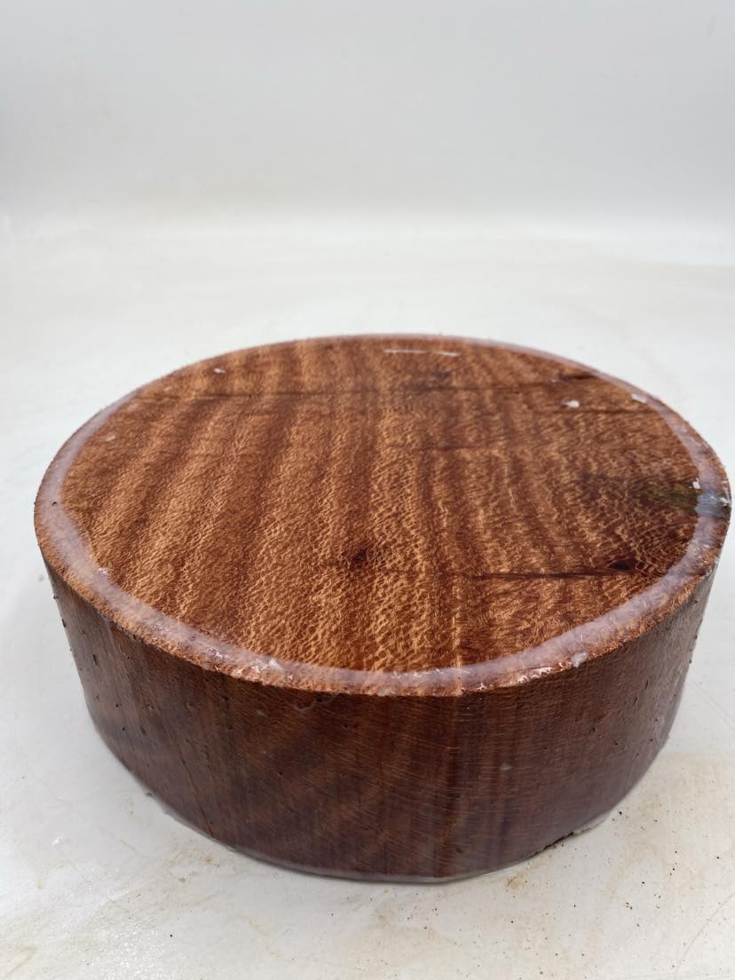 Banksia Bowl Blank 225 x 70mm