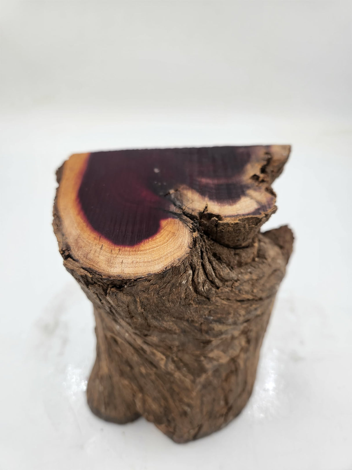 Dead Finish Log 180mmx120mmx65mm