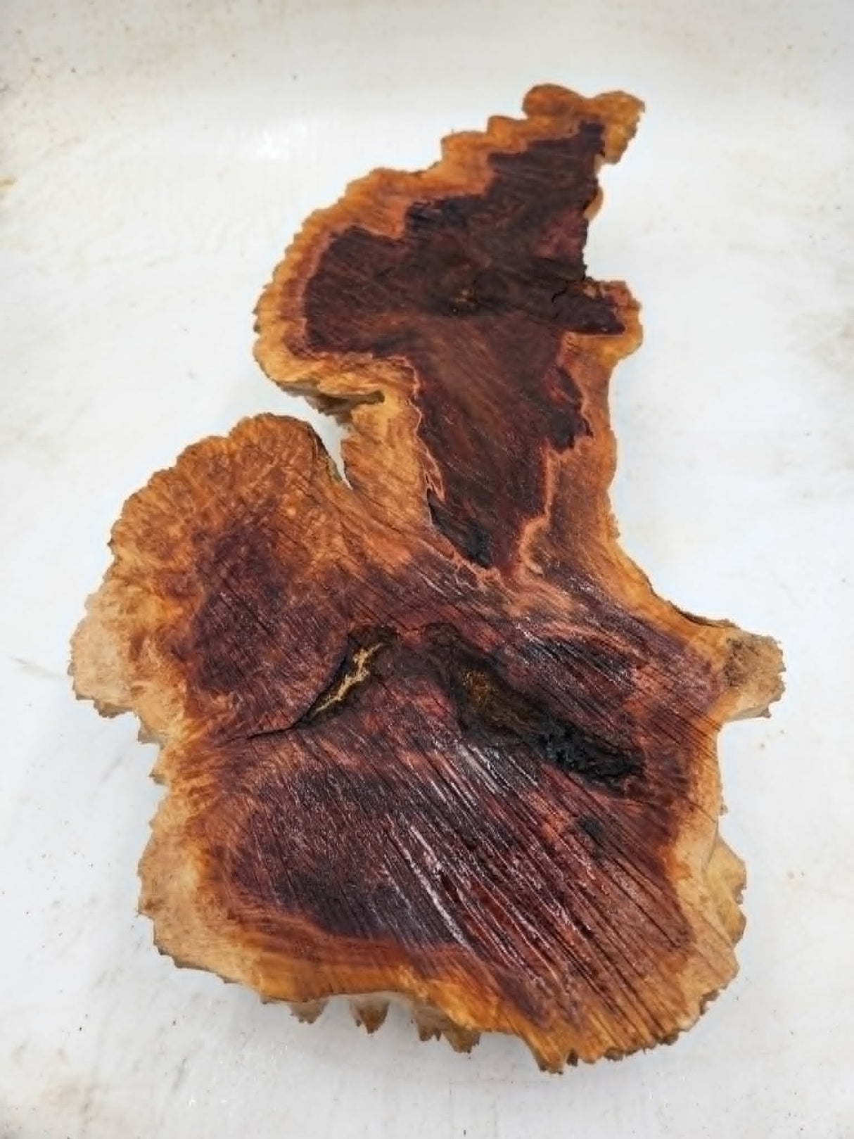 Red Mallee Burl 500x150x80mm