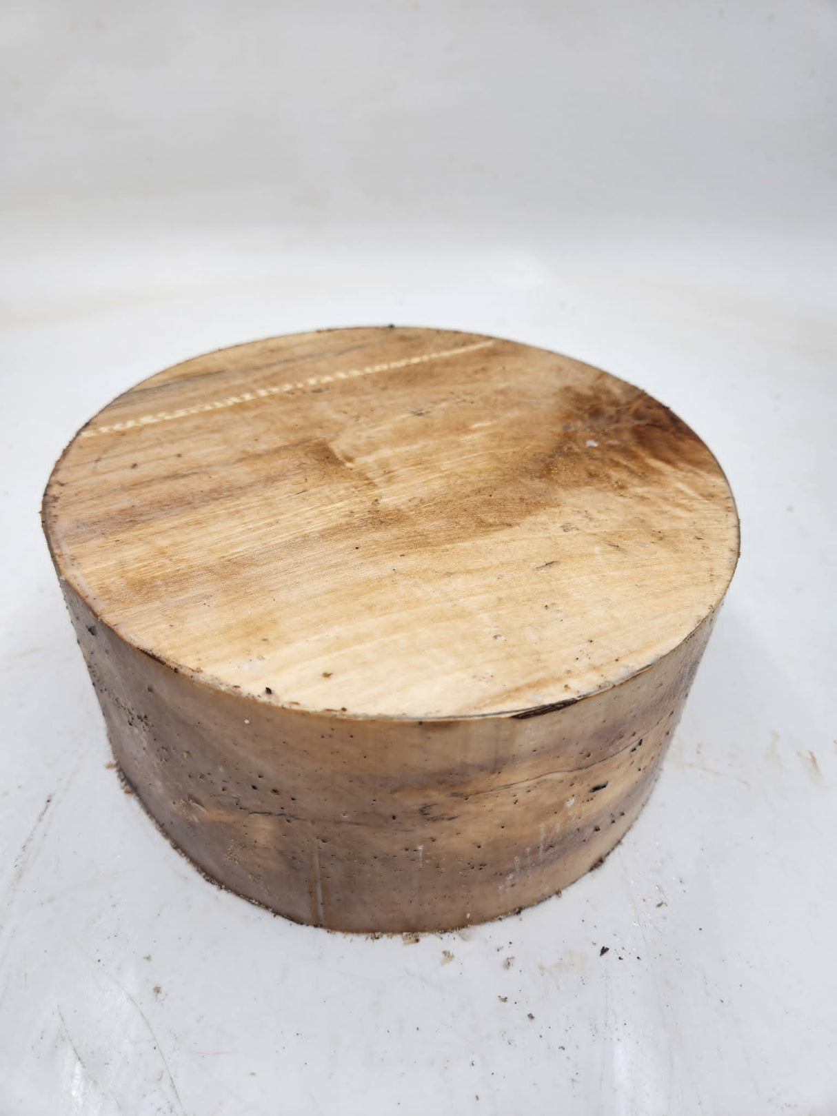 Silver Birch Bowl Blank 200mmx85mm