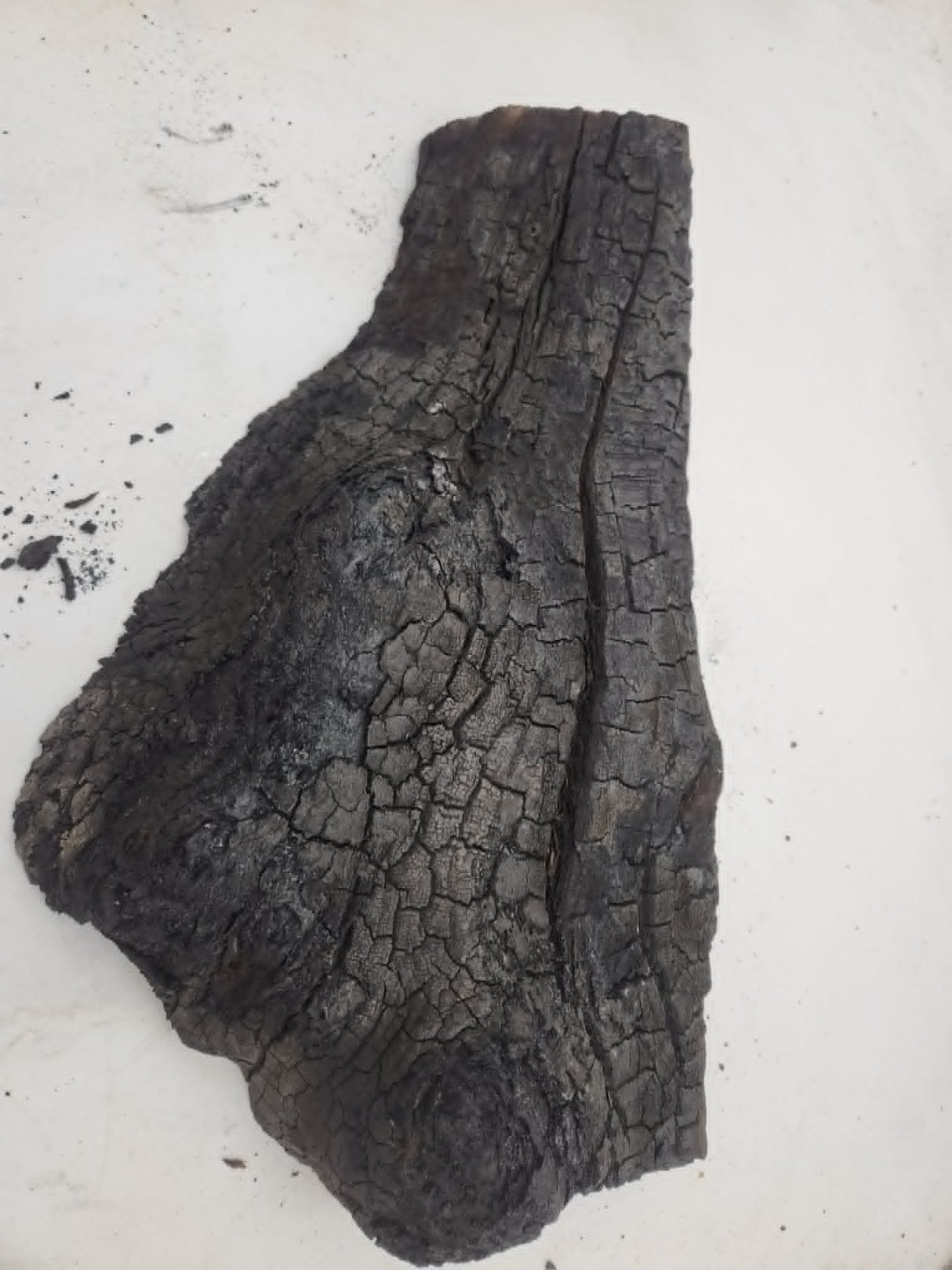 Forest Red Gum Burl 450x200x80mm