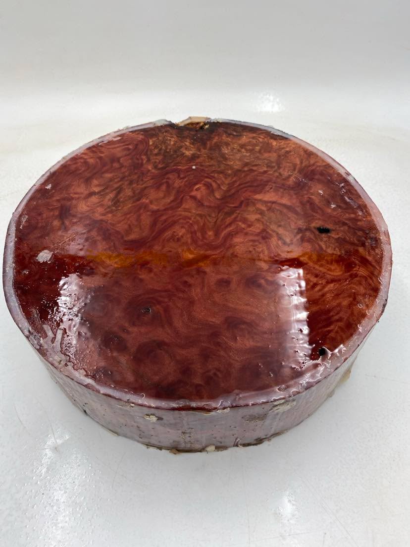 Red Mallee Burl Bowl Blank 255 x 70mm