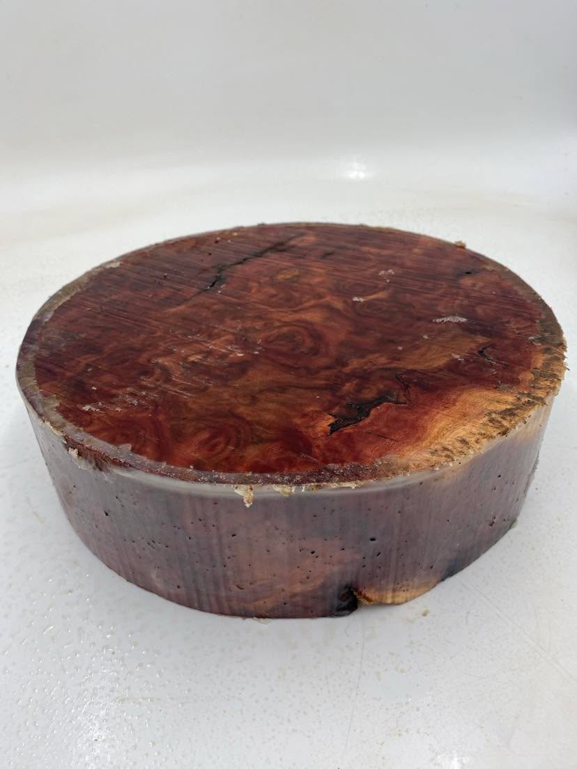 Red Mallee Burl Bowl Blank 255 x 70mm