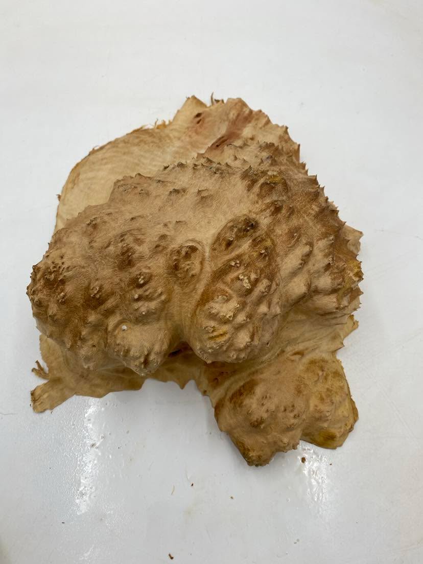 Red Mallee Burl 280 x 250 x 100mm