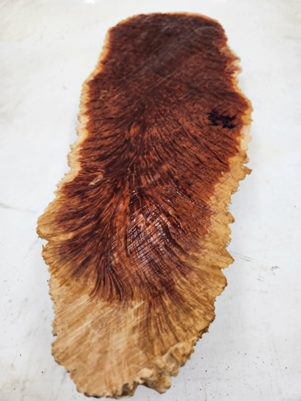 Red Mallee Burl 550x220x50mm