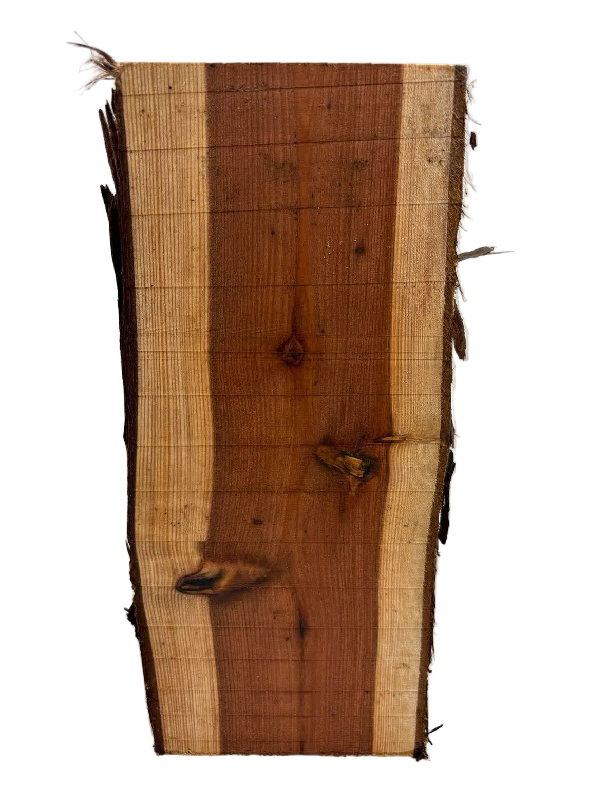 Californian Redwood Spindle 270 x 110 x 55mm