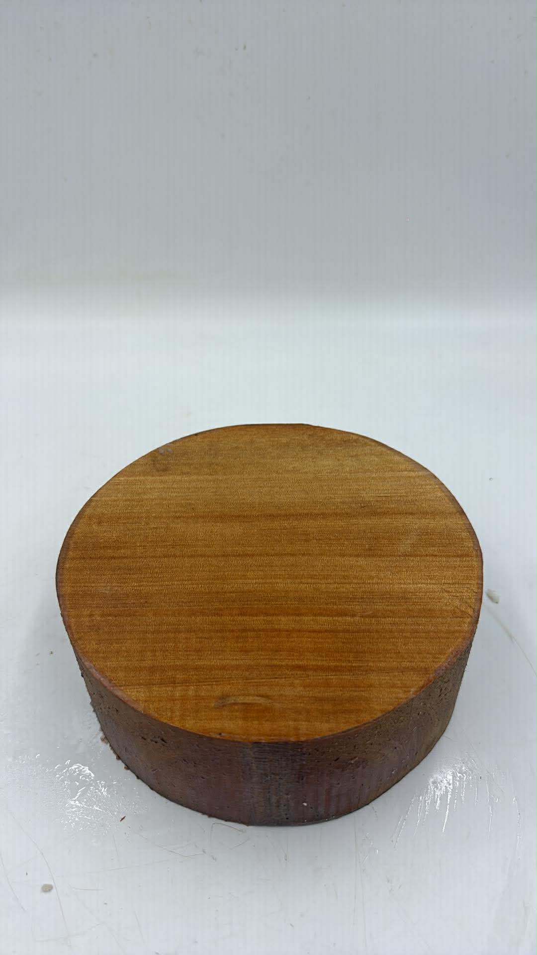 Borneo Kauri Bowl Blank 200 x 75mm