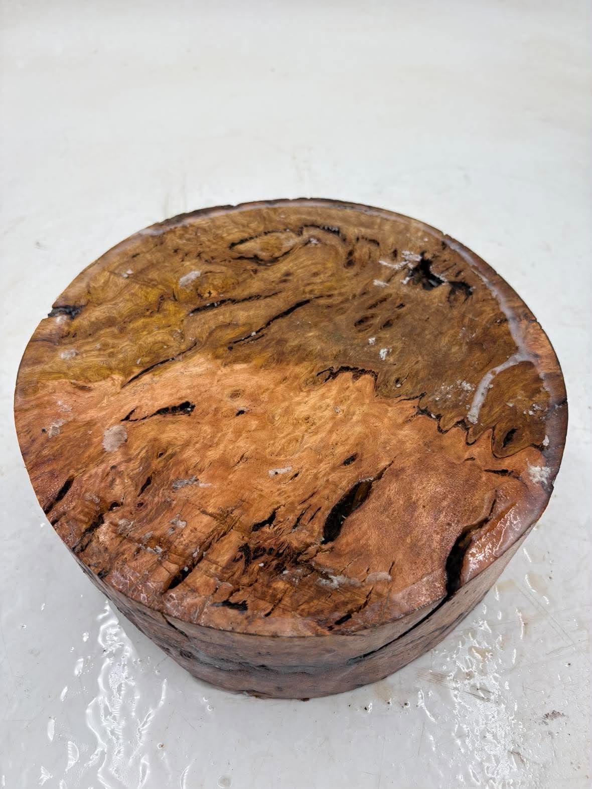 Manna Gum Burl Bowl Blank 220 x 85mm