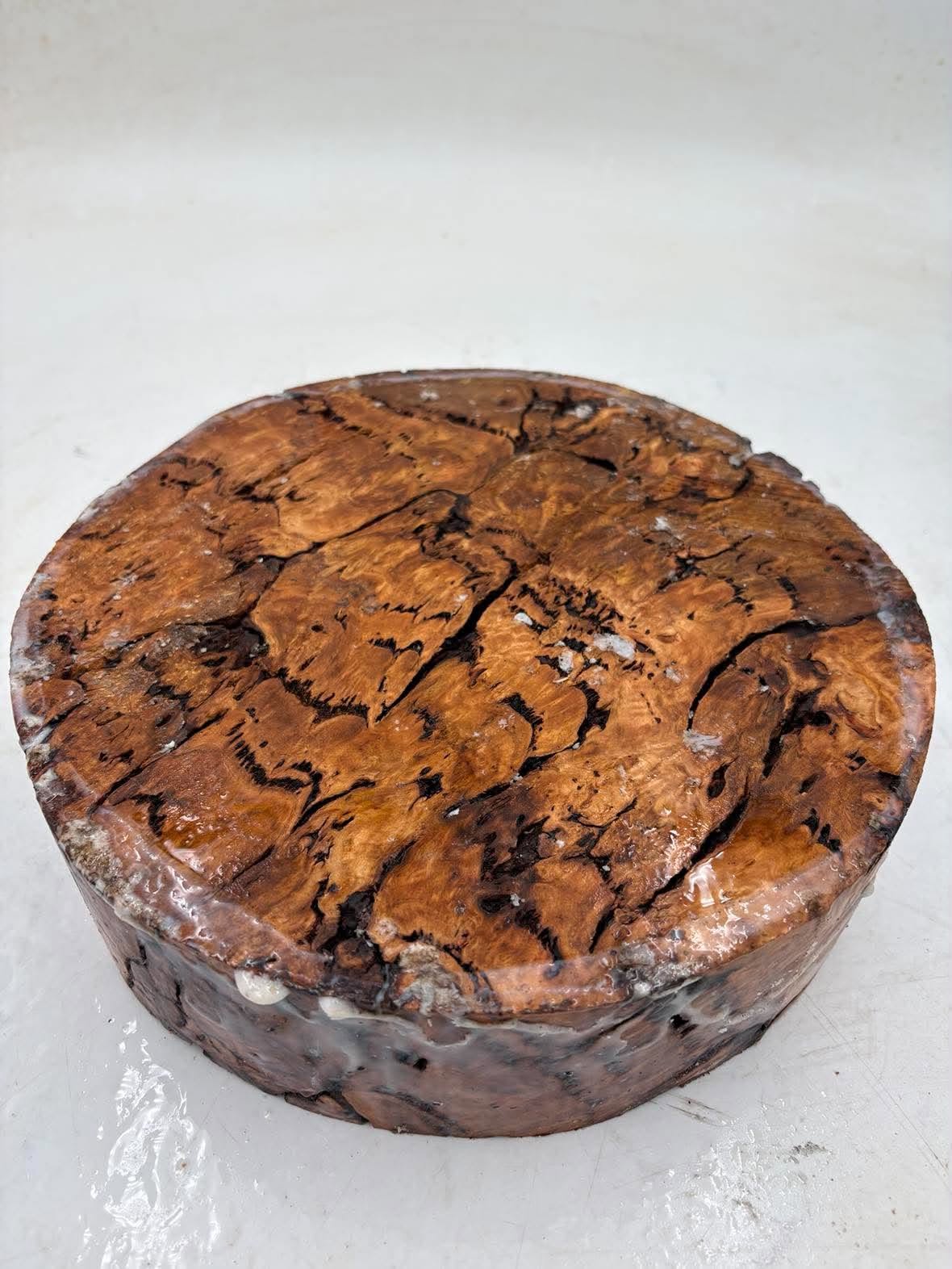 Manna Gum Burl Bowl Blank 260 x 75mm
